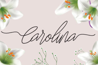 Carolina Font: Elevating Digital Brand Identity