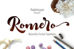 Enhance Your Web Design with Romero Font