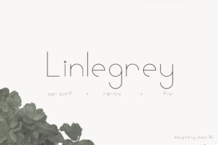 Linlegrey Font Review: A Minimalist Sans Serif for Branding
