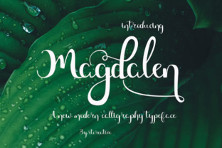 Magdalen Font Review for Digital Campaign Design