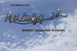 Meilalya: A Modern Calligraphy Script for Polished Branding